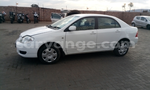 Acheter Occasion Voiture Toyota Corolla Blanc à Windhoek, Namibie Acheter Occasion Voiture Toyota Corolla Blanc à Windhoek, Namibie
