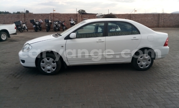 Acheter Occasion Voiture Toyota Corolla Blanc à Windhoek, Namibie Acheter Occasion Voiture Toyota Corolla Blanc à Windhoek, Namibie