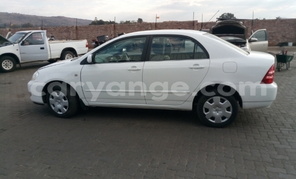 Acheter Occasion Voiture Toyota Corolla Blanc à Windhoek, Namibie Acheter Occasion Voiture Toyota Corolla Blanc à Windhoek, Namibie