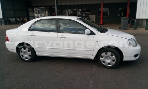 Acheter Occasion Voiture Toyota Corolla Blanc à Windhoek, Namibie Acheter Occasion Voiture Toyota Corolla Blanc à Windhoek, Namibie