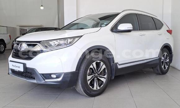 Buy Used Honda CR–V White Car in Gobabis in Omaheke Buy Used Honda CR–V White Car in Gobabis in Omaheke