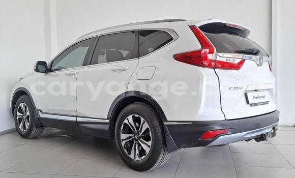 Buy Used Honda CR–V White Car in Gobabis in Omaheke Buy Used Honda CR–V White Car in Gobabis in Omaheke