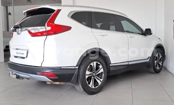 Buy Used Honda CR–V White Car in Gobabis in Omaheke Buy Used Honda CR–V White Car in Gobabis in Omaheke