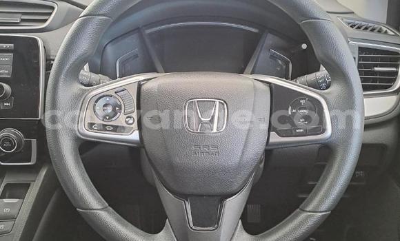 Buy Used Honda CR–V White Car in Gobabis in Omaheke Buy Used Honda CR–V White Car in Gobabis in Omaheke