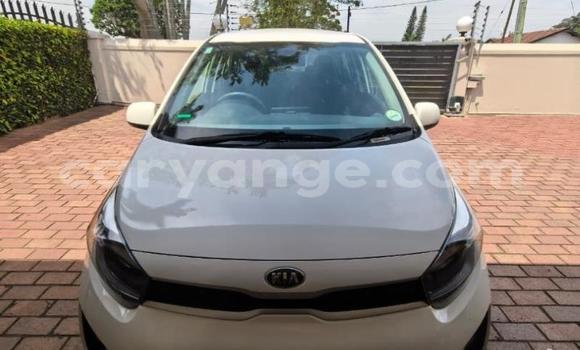 Buy Used Kia Picanto White Car in Gobabis in Omaheke