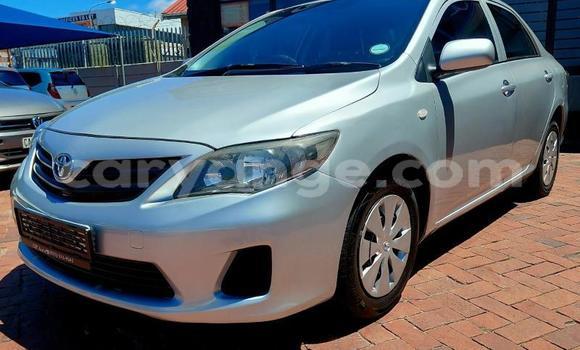 Buy Used Toyota Corolla Silver Car in Gobabis in Omaheke Buy Used Toyota Corolla Silver Car in Gobabis in Omaheke