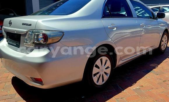 Buy Used Toyota Corolla Silver Car in Gobabis in Omaheke Buy Used Toyota Corolla Silver Car in Gobabis in Omaheke
