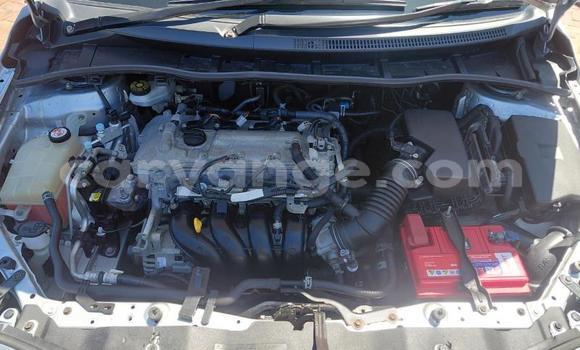 Buy Used Toyota Corolla Silver Car in Gobabis in Omaheke Buy Used Toyota Corolla Silver Car in Gobabis in Omaheke