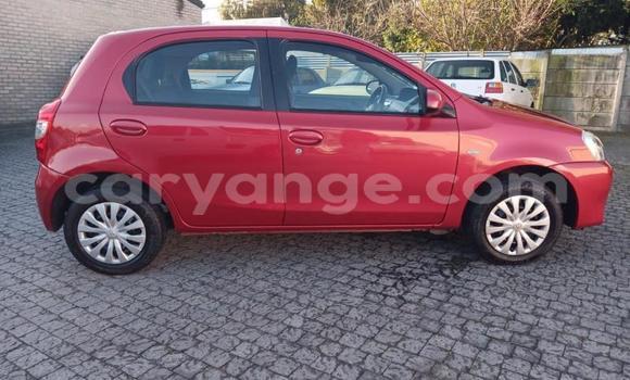 Buy Used Toyota Etios Red Car in Gobabis in Omaheke Buy Used Toyota Etios Red Car in Gobabis in Omaheke