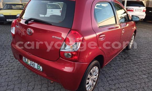 Buy Used Toyota Etios Red Car in Gobabis in Omaheke Buy Used Toyota Etios Red Car in Gobabis in Omaheke