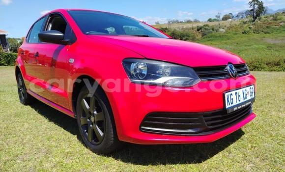 Buy Used Volkswagen Polo Red Car in Gobabis in Omaheke Buy Used Volkswagen Polo Red Car in Gobabis in Omaheke