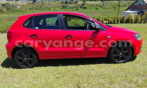Buy Used Volkswagen Polo Red Car in Gobabis in Omaheke Buy Used Volkswagen Polo Red Car in Gobabis in Omaheke