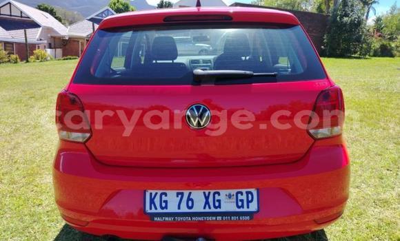 Buy Used Volkswagen Polo Red Car in Gobabis in Omaheke Buy Used Volkswagen Polo Red Car in Gobabis in Omaheke