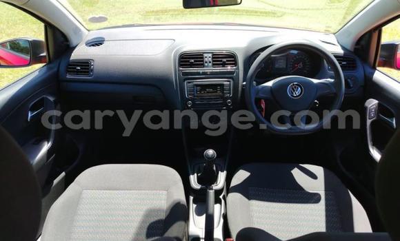 Buy Used Volkswagen Polo Red Car in Gobabis in Omaheke Buy Used Volkswagen Polo Red Car in Gobabis in Omaheke