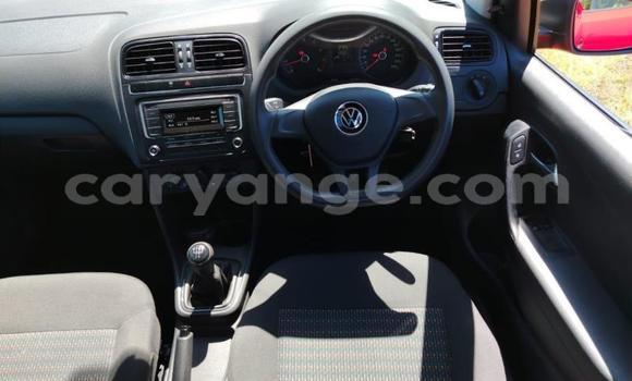 Buy Used Volkswagen Polo Red Car in Gobabis in Omaheke Buy Used Volkswagen Polo Red Car in Gobabis in Omaheke