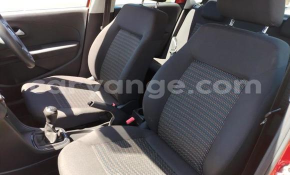 Buy Used Volkswagen Polo Red Car in Gobabis in Omaheke Buy Used Volkswagen Polo Red Car in Gobabis in Omaheke