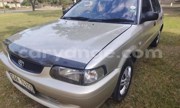 Buy Used Toyota Tercel Other Car in Gobabis in Omaheke