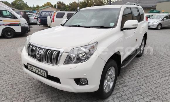 Buy Used Toyota Land Cruiser Prado White Car in Gobabis in Omaheke