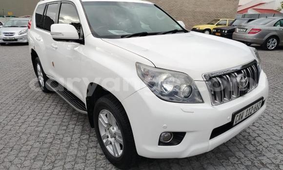 Buy Used Toyota Land Cruiser Prado White Car in Gobabis in Omaheke Buy Used Toyota Land Cruiser Prado White Car in Gobabis in Omaheke