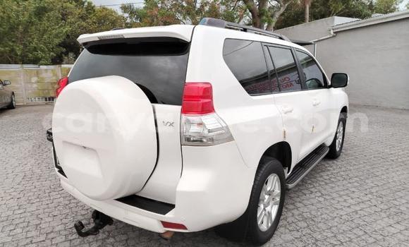 Buy Used Toyota Land Cruiser Prado White Car in Gobabis in Omaheke Buy Used Toyota Land Cruiser Prado White Car in Gobabis in Omaheke