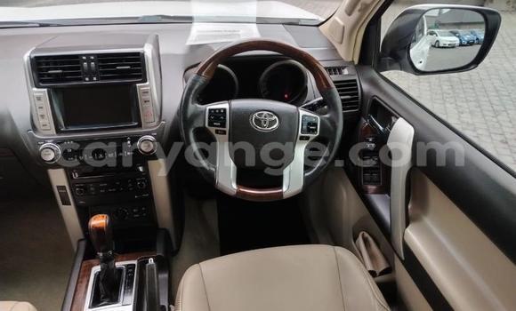Buy Used Toyota Land Cruiser Prado White Car in Gobabis in Omaheke Buy Used Toyota Land Cruiser Prado White Car in Gobabis in Omaheke