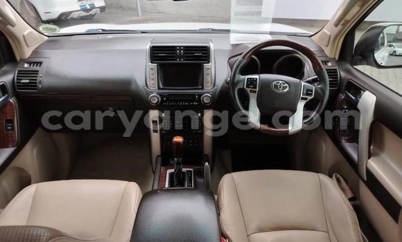 Buy Used Toyota Land Cruiser Prado White Car in Gobabis in Omaheke Buy Used Toyota Land Cruiser Prado White Car in Gobabis in Omaheke