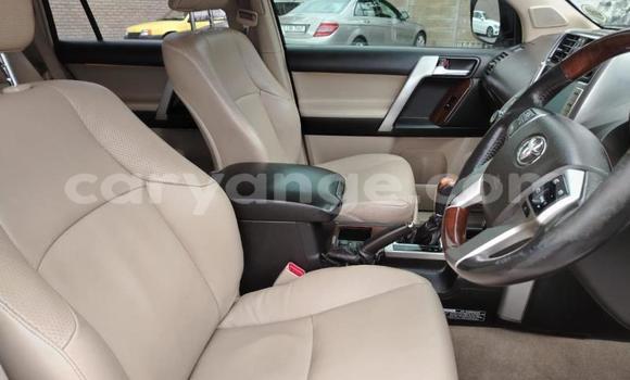 Buy Used Toyota Land Cruiser Prado White Car in Gobabis in Omaheke Buy Used Toyota Land Cruiser Prado White Car in Gobabis in Omaheke