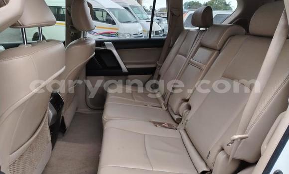 Buy Used Toyota Land Cruiser Prado White Car in Gobabis in Omaheke Buy Used Toyota Land Cruiser Prado White Car in Gobabis in Omaheke