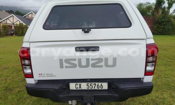 Buy Used Isuzu KB White Car in Gobabis in Omaheke Buy Used Isuzu KB White Car in Gobabis in Omaheke