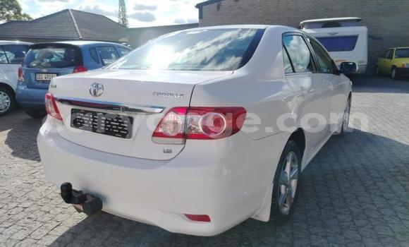Buy Used Toyota Corolla White Car in Gobabis in Omaheke Buy Used Toyota Corolla White Car in Gobabis in Omaheke