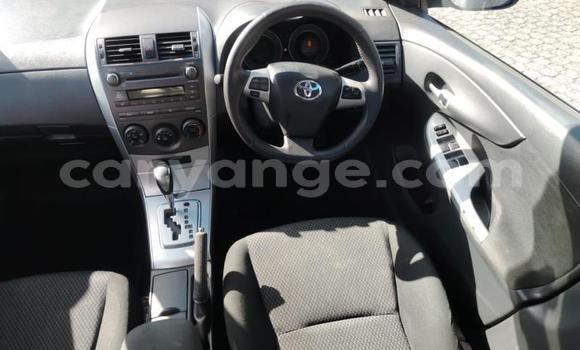 Buy Used Toyota Corolla White Car in Gobabis in Omaheke Buy Used Toyota Corolla White Car in Gobabis in Omaheke