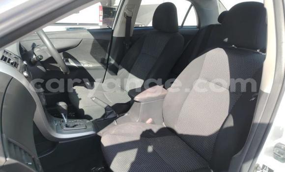 Buy Used Toyota Corolla White Car in Gobabis in Omaheke Buy Used Toyota Corolla White Car in Gobabis in Omaheke