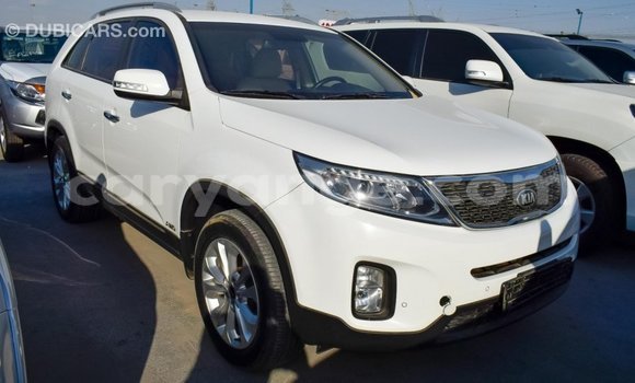 Buy Import Kia Sorento White Car in Import - Dubai in Namibia Buy Import Kia Sorento White Car in Import - Dubai in Namibia