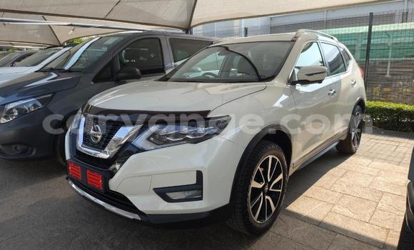 Buy Used Nissan X–Trail White Car in Gobabis in Omaheke Buy Used Nissan X–Trail White Car in Gobabis in Omaheke