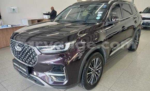 Buy Used Chery Tiggo 7 pro Other Car in Gobabis in Omaheke Buy Used Chery Tiggo 7 pro Other Car in Gobabis in Omaheke