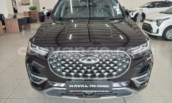 Buy Used Chery Tiggo 7 pro Other Car in Gobabis in Omaheke Buy Used Chery Tiggo 7 pro Other Car in Gobabis in Omaheke