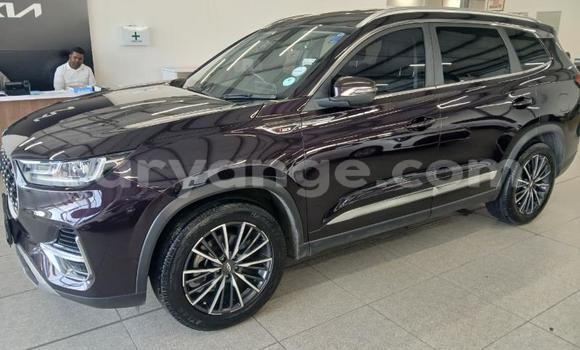 Buy Used Chery Tiggo 7 pro Other Car in Gobabis in Omaheke Buy Used Chery Tiggo 7 pro Other Car in Gobabis in Omaheke