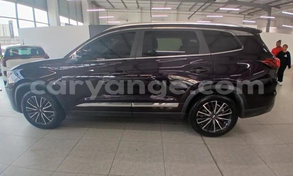 Buy Used Chery Tiggo 7 pro Other Car in Gobabis in Omaheke Buy Used Chery Tiggo 7 pro Other Car in Gobabis in Omaheke