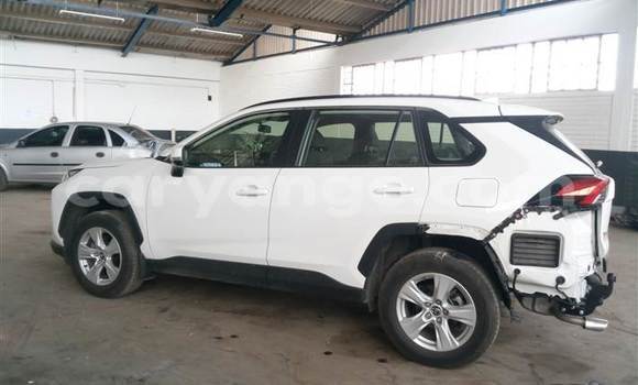 Buy Used Toyota RAV4 White Car in Windhoek in Namibia Buy Used Toyota RAV4 White Car in Windhoek in Namibia