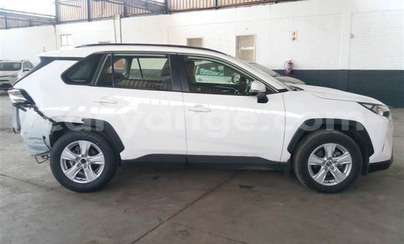 Buy Used Toyota RAV4 White Car in Windhoek in Namibia Buy Used Toyota RAV4 White Car in Windhoek in Namibia
