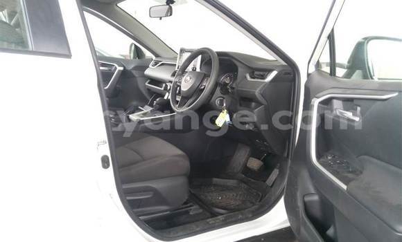 Buy Used Toyota RAV4 White Car in Windhoek in Namibia Buy Used Toyota RAV4 White Car in Windhoek in Namibia