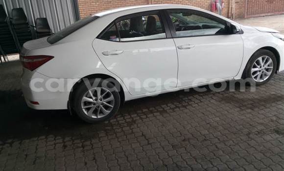 Buy Used Toyota Corolla White Car in Oranjemund in Karas Buy Used Toyota Corolla White Car in Oranjemund in Karas