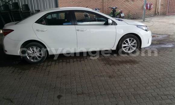 Buy Used Toyota Corolla White Car in Oranjemund in Karas Buy Used Toyota Corolla White Car in Oranjemund in Karas