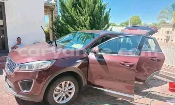 Buy Used Kia Carens Other Car in Windhoek in Namibia Buy Used Kia Carens Other Car in Windhoek in Namibia