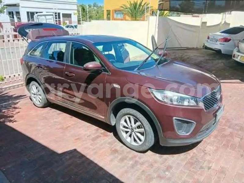 Big with watermark kia carens namibia windhoek 24893