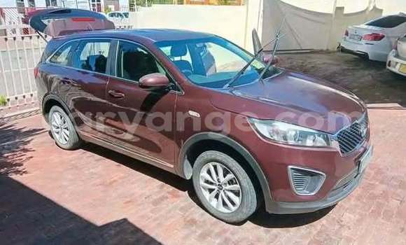 Buy Used Kia Carens Other Car in Windhoek in Namibia Buy Used Kia Carens Other Car in Windhoek in Namibia