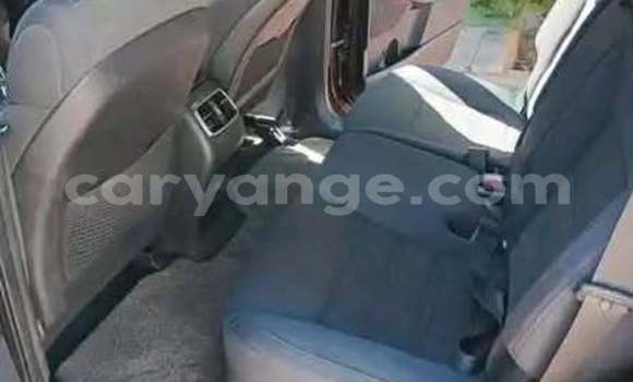 Buy Used Kia Carens Other Car in Windhoek in Namibia Buy Used Kia Carens Other Car in Windhoek in Namibia