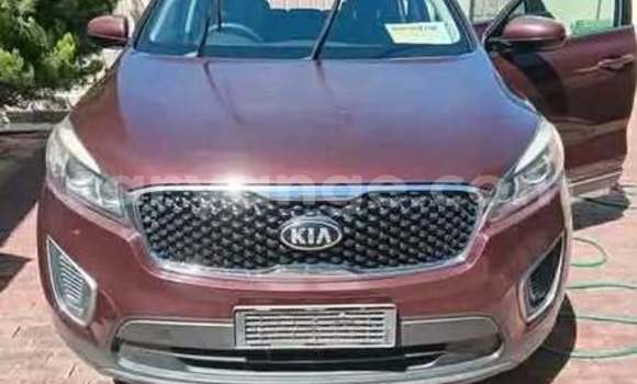 Buy Used Kia Carens Other Car in Windhoek in Namibia Buy Used Kia Carens Other Car in Windhoek in Namibia