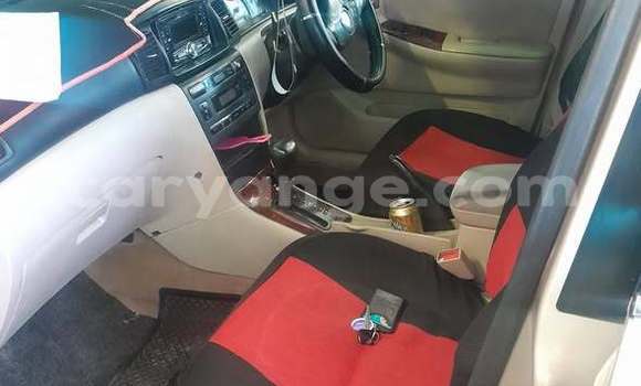 Acheter Occasion Voiture Toyota Runx Autre à Windhoek, Namibie Acheter Occasion Voiture Toyota Runx Autre à Windhoek, Namibie