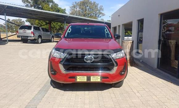 Buy Used Toyota Hilux Red Car in Windhoek in Namibia